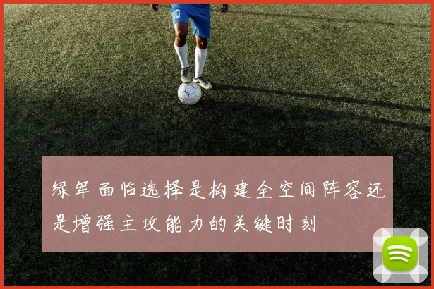 绿军面临选择是构建全空间阵容还是增强主攻能力的关键时刻