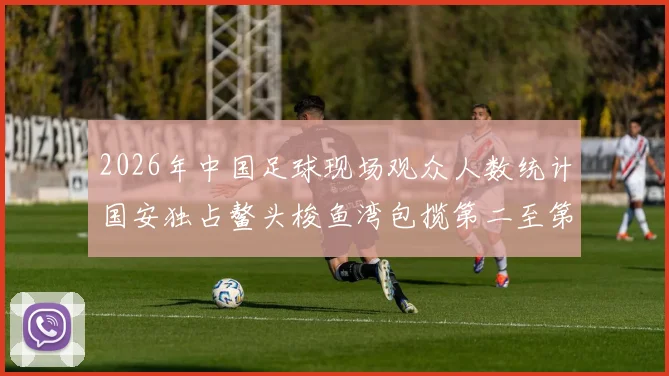 2026年中国足球现场观众人数统计国安独占鳌头梭鱼湾包揽第二至第七位